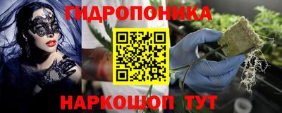 трава Краснодар