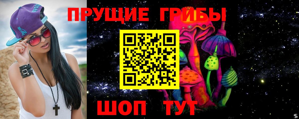 Галлюциногенные грибы прущие грибы  Вход с VPN  Жуковский 