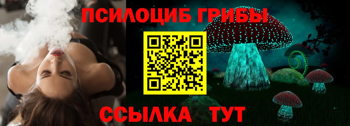 Псилоцибиновые грибы Cubensis Жуковский